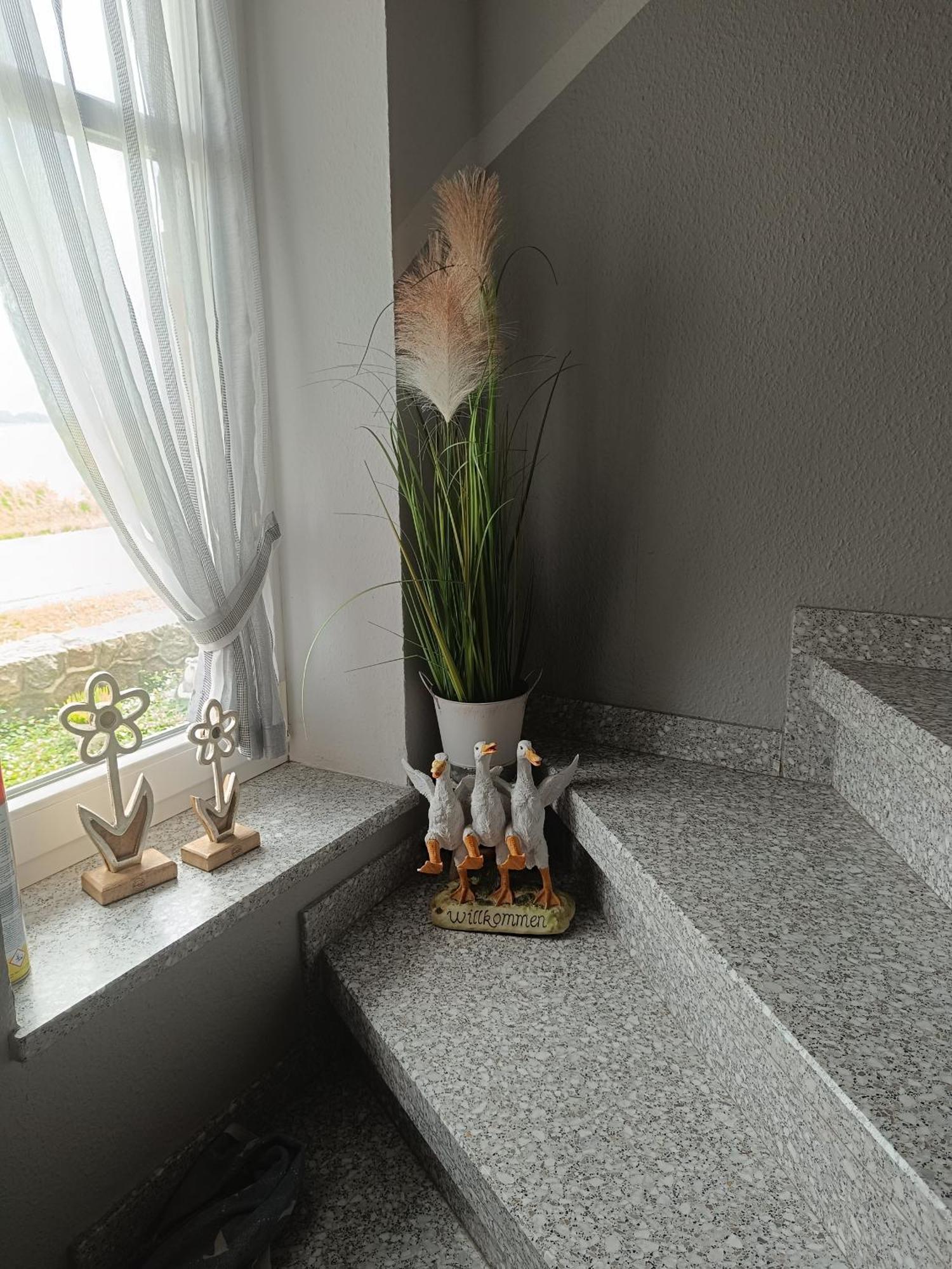 Marschblick Apartment Sudermarsch Luaran gambar